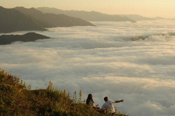 Quels sont les risques écologiques des croisières ?
